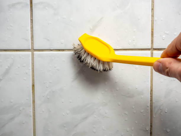 Best Best Mold Removal Companies  in Chinle, AZ