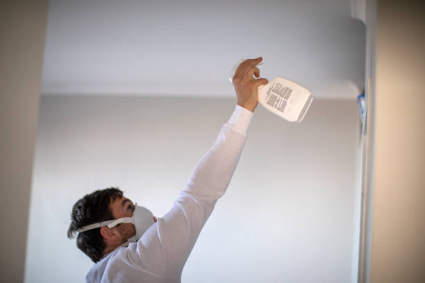 Best Mold Cleaning Services  in Chinle, AZ