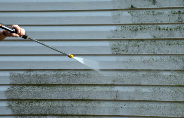 Best Mold Removal Process  in Chinle, AZ