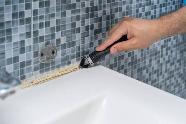 Best Local Mold Removal Service  in Chinle, AZ